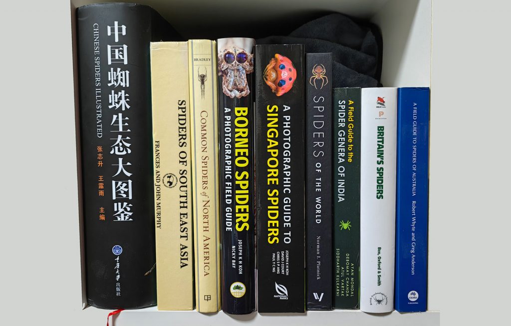 recommended-spider-books-