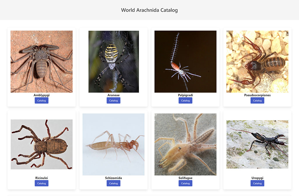 World Arachnida Catalog Asian Society of Arachnology